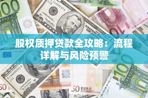 北京股权质押贷款全攻略：流程详解与风险预警