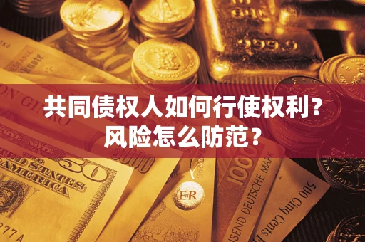 北京共同债权人如何行使权利？风险怎么防范？