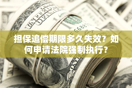 北京担保追偿期限多久失效？如何申请法院强制执行？