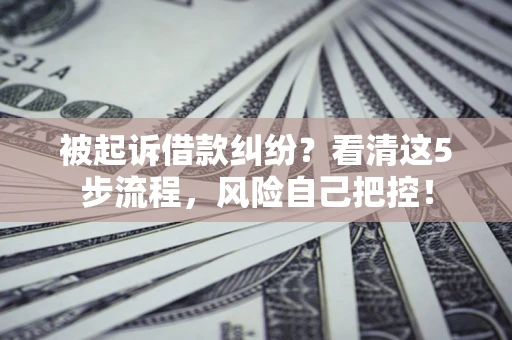 北京被起诉借款纠纷？看清这5步流程，风险自己把控！
